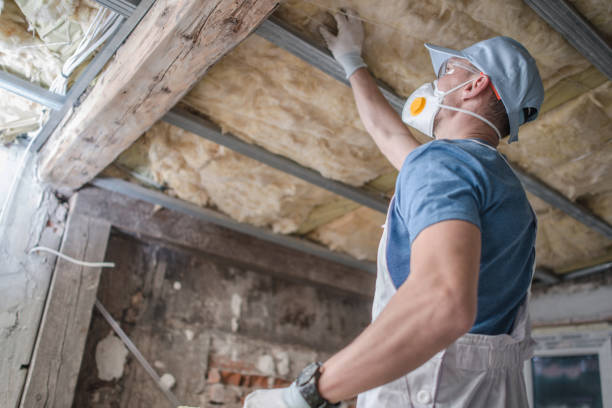 Best Spray Foam Insulation in Fyffe, AL