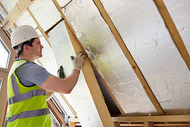 Best Eco-Friendly Insulation in Fyffe, AL
